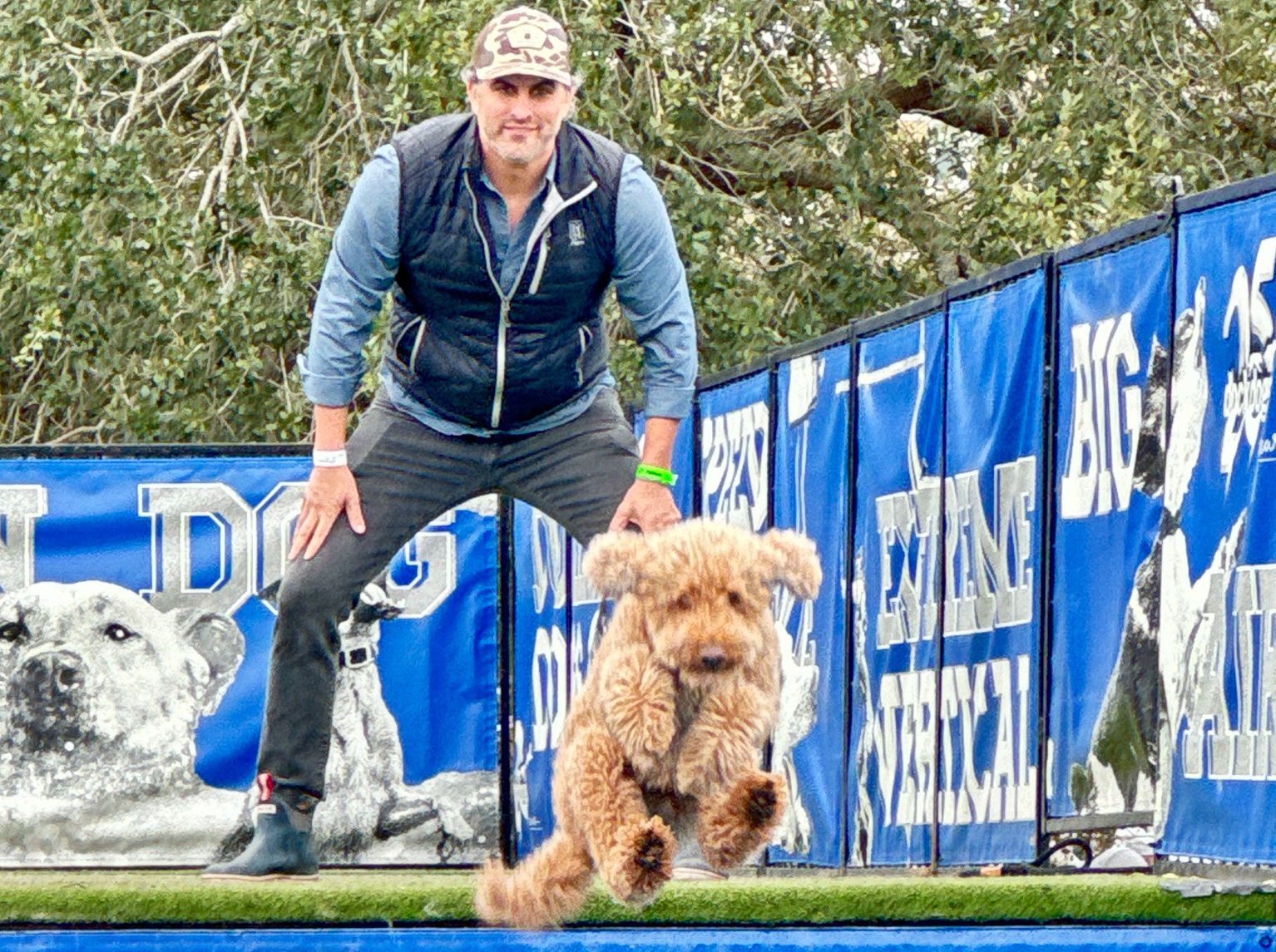 dog jumping at SEWE