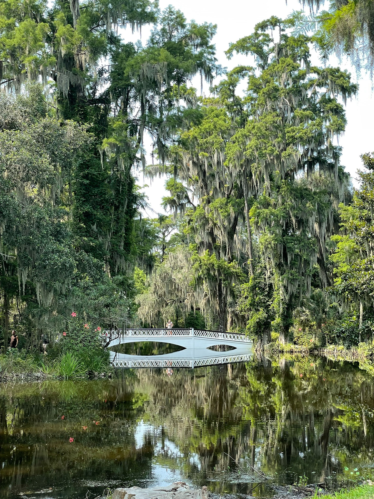 Magnolia Gardens