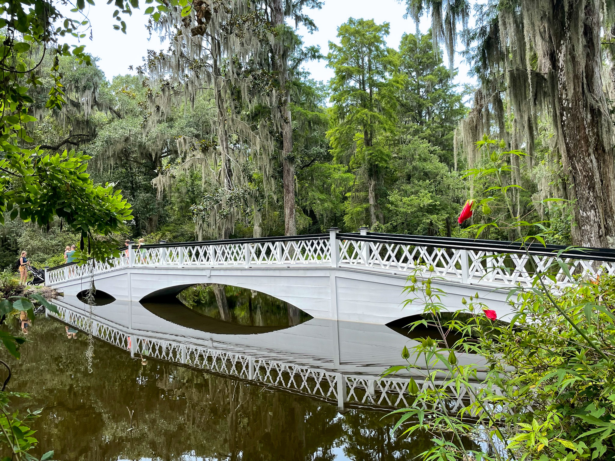 Magnolia Gardens