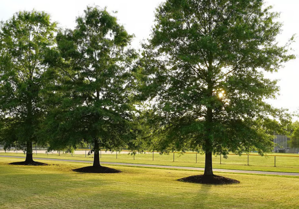Gahagan Park