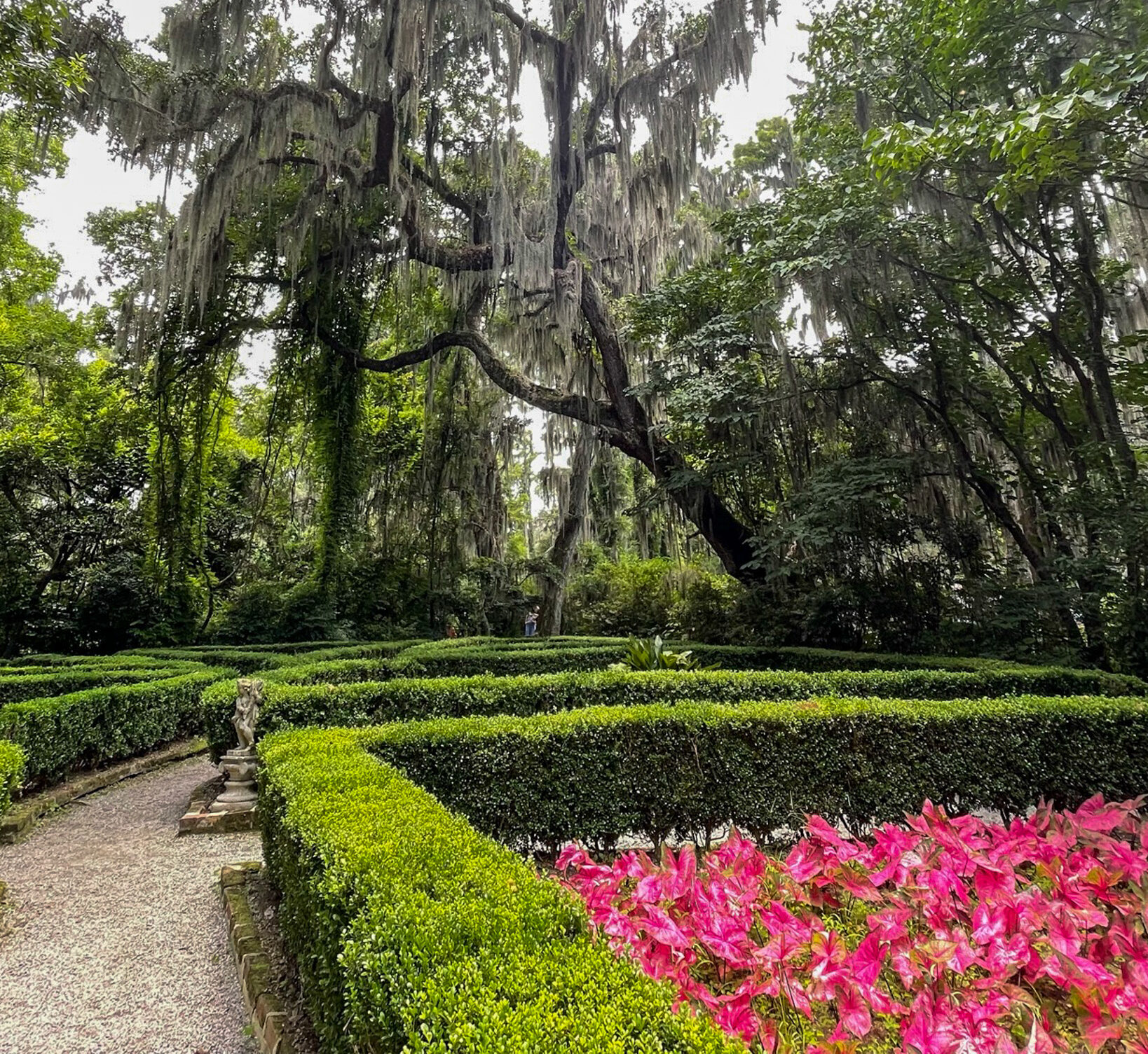 Magnolia Gardens (7)