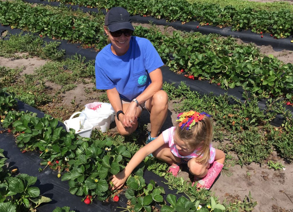 lowcountry strawberry festival