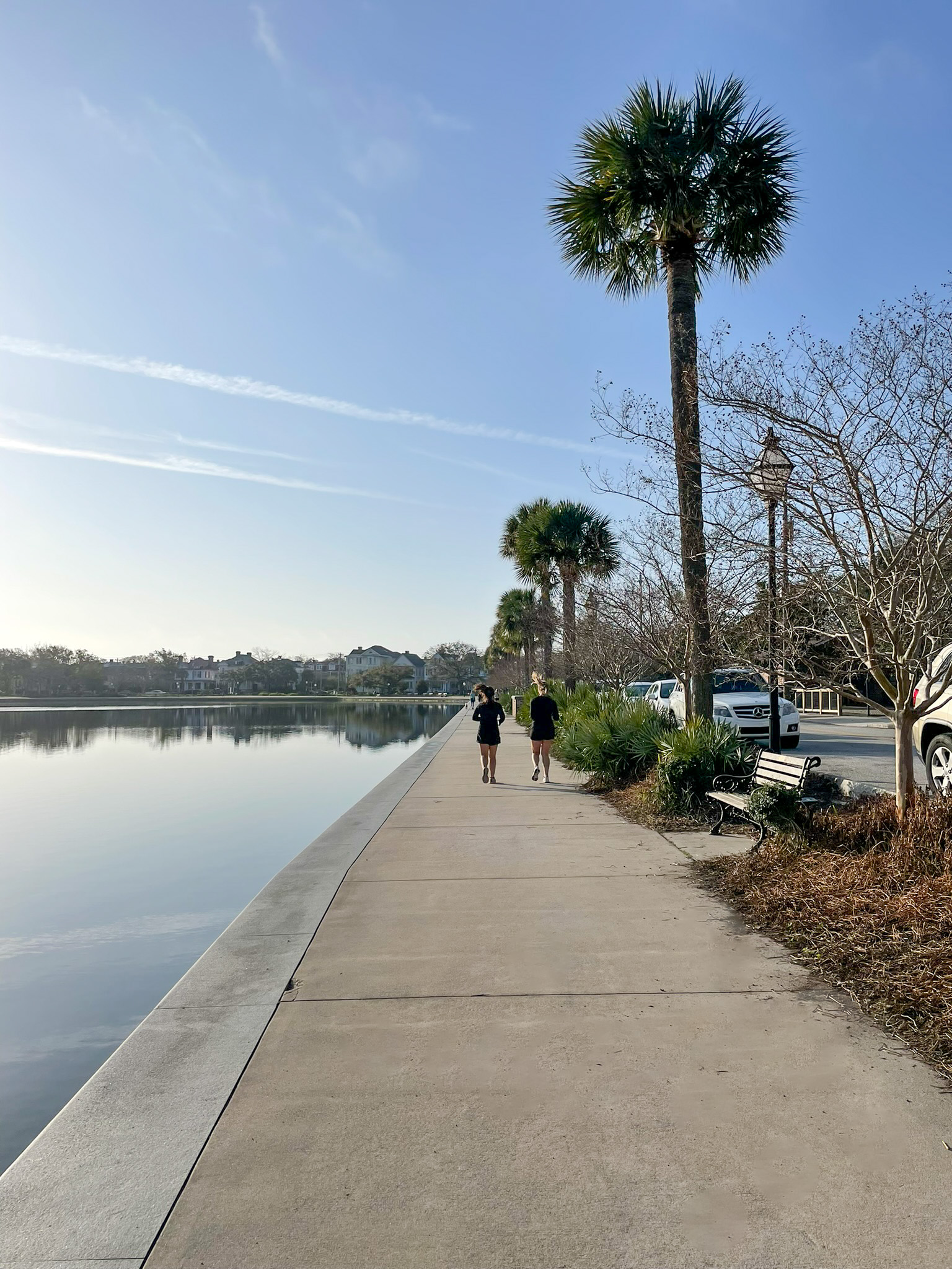 Colonial Lake