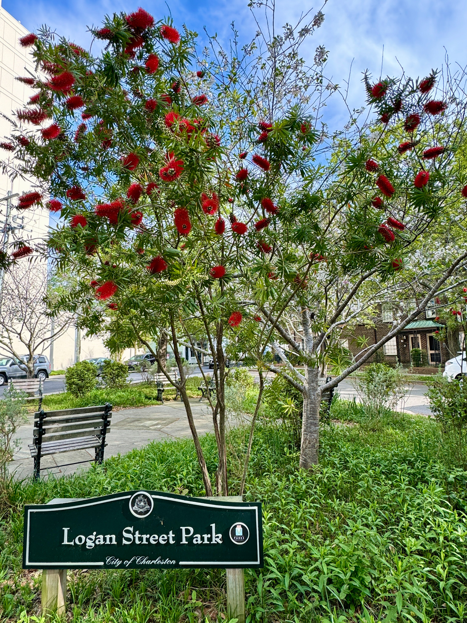 Logan Street Park
