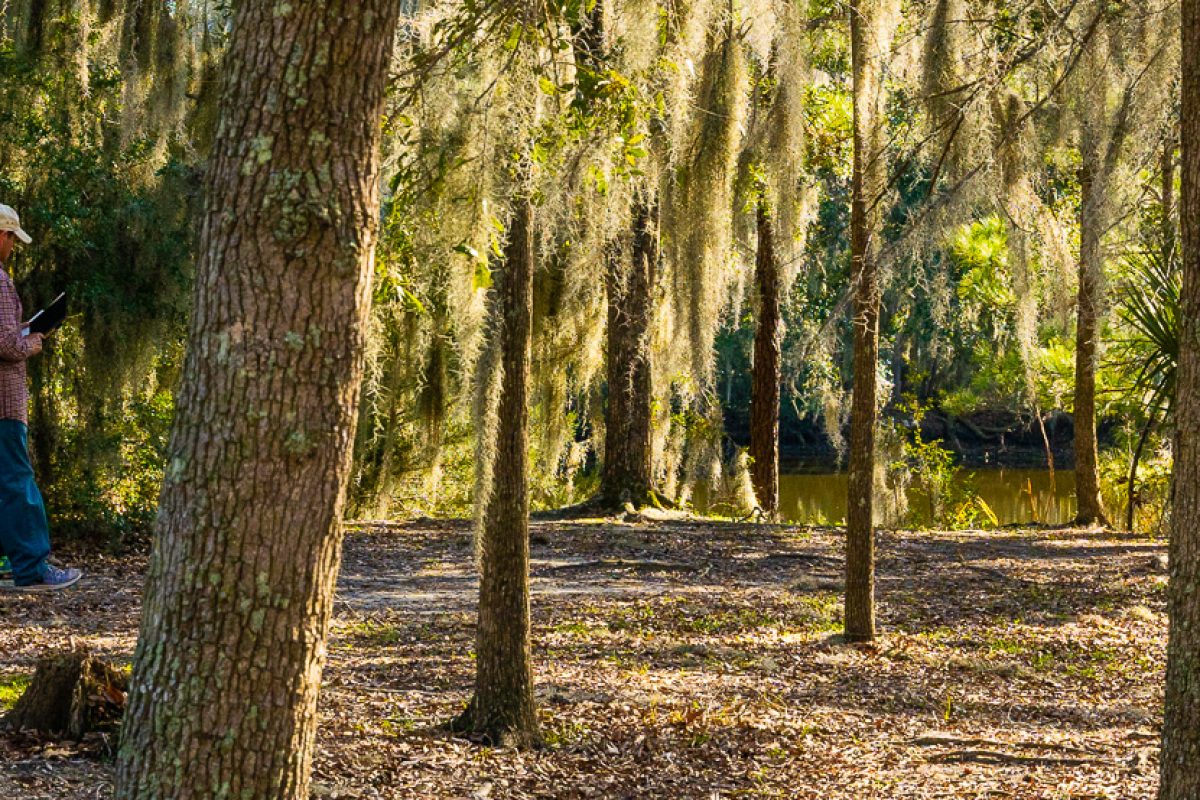 west ashley park