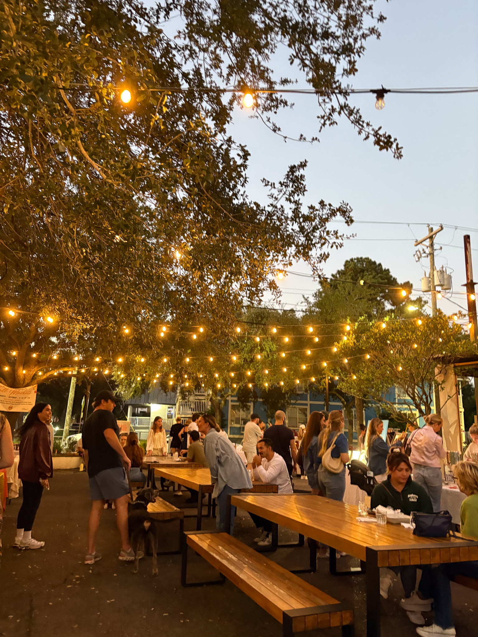 park and groove fall