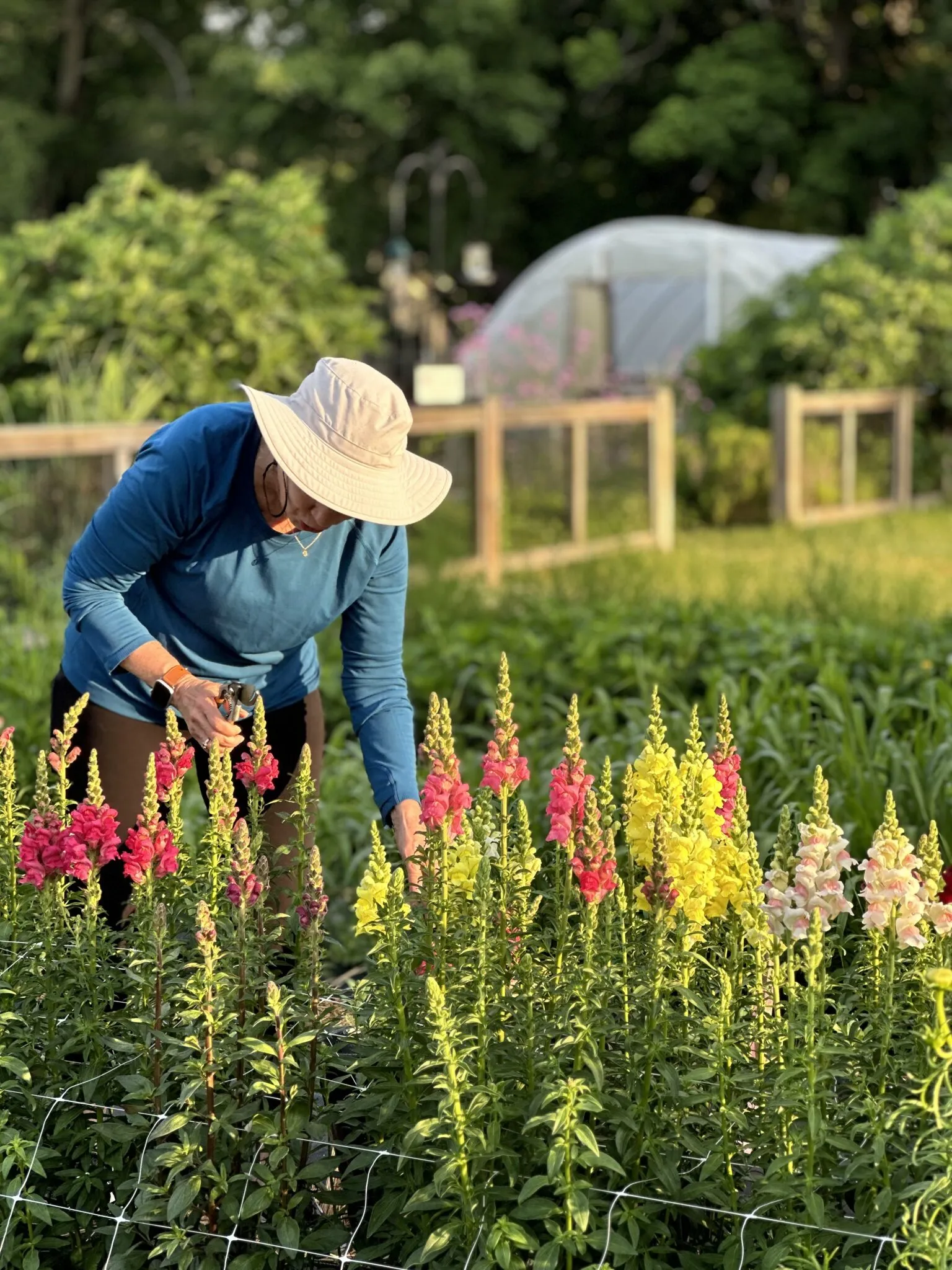 Magnolia Park and Community Garden